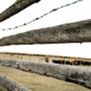 Meet your Posher, Lenore